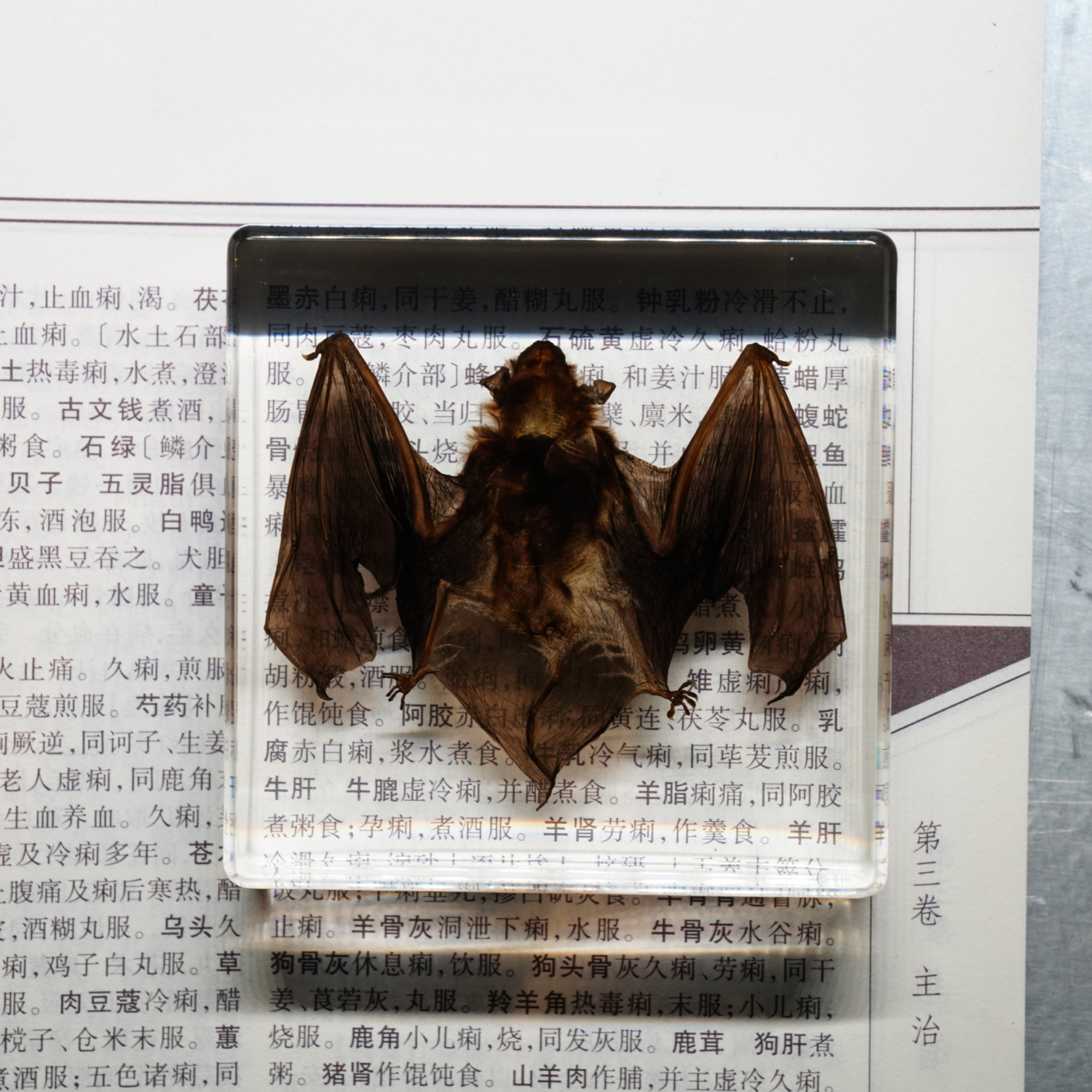 Bat Paperweight (1)